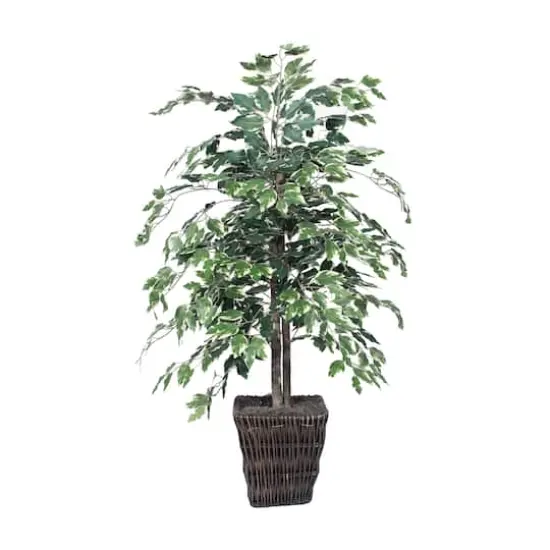 4ft. Artificial Variegated Ficus Bush with Square Willow Basket {1}