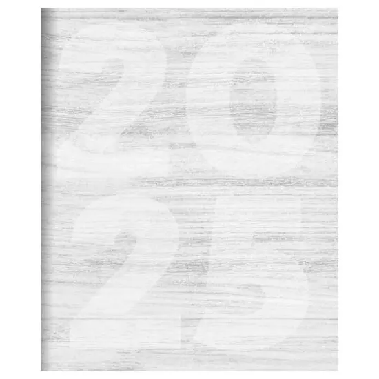 TF Publishing 2025 Driftwood Large Monthly Planner {1}