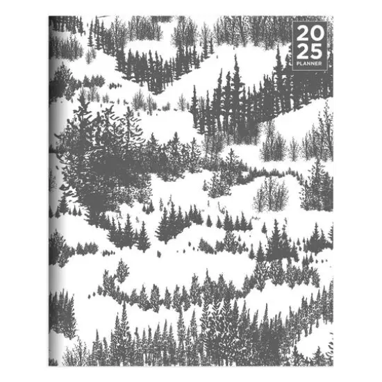 TF Publishing 2025 Gray Forest Medium Monthly Planner {1}