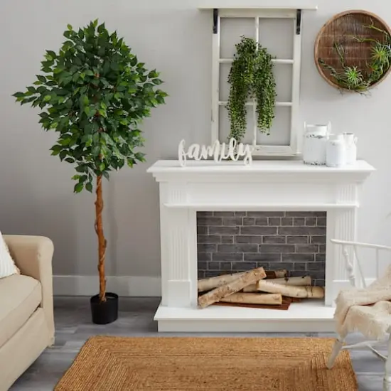 6ft. Potted Ficus Tree {5}