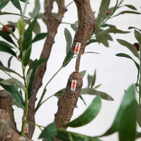 6ft. Artificial Grand Olive Tree in White Decorative Planter {8}