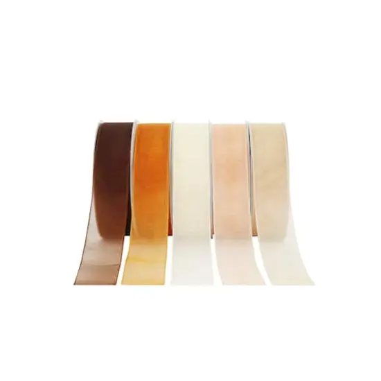 5 Color Sheer Value Pack Ribbon by Celebrate It&reg; Neutrals {1}