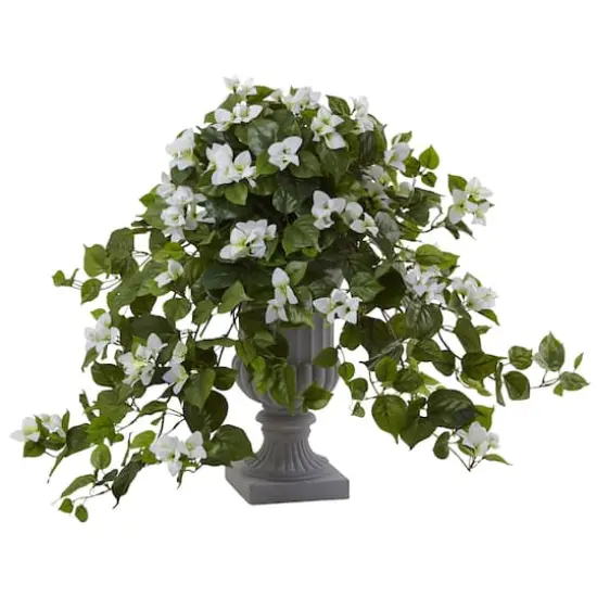 2ft. White Bougainvillea Flowering Plant with Decorative Urn {1}