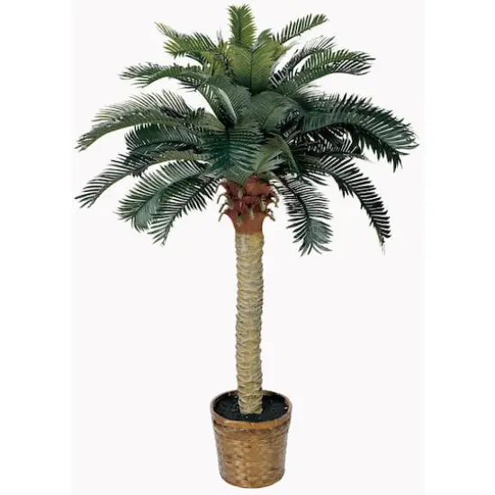 4ft. Sago Silk Palm Tree in Wicker Basket Pot {1}