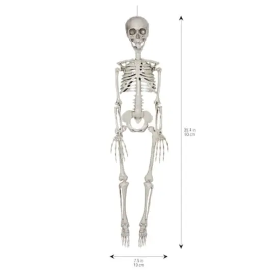 35" Hanging Skeleton by Ashland&reg; {4}
