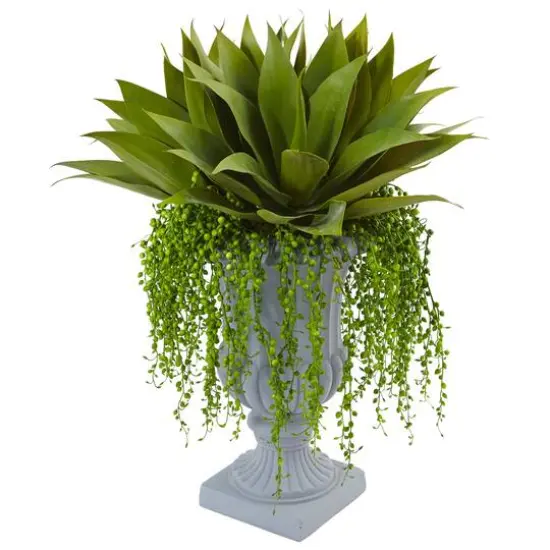27" Agave & Senecio Succulent Arrangement in Decorative Planter {1}