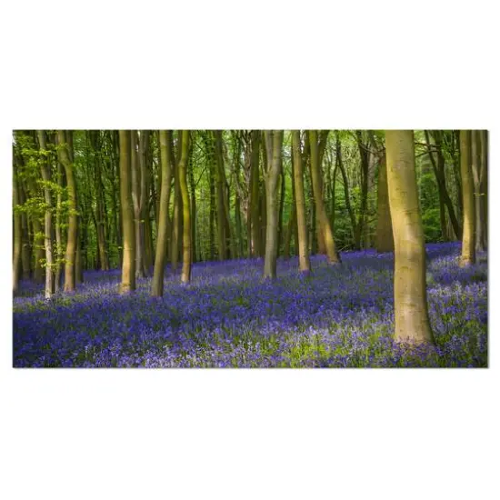 Designart - Bluebell Woods in Oxfordshire - Large landscape Canvas Art Print {2}