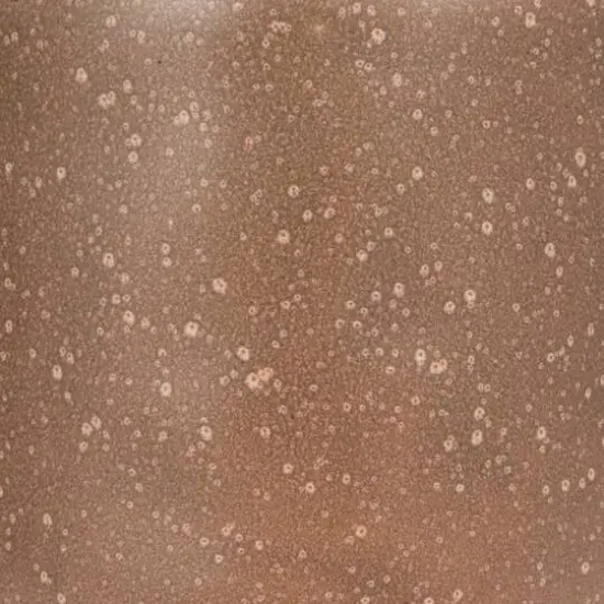 Hello Honey® Gray & Brown Stoneware Creamer & Sugar Pot Set with Bamboo Spoon {11}