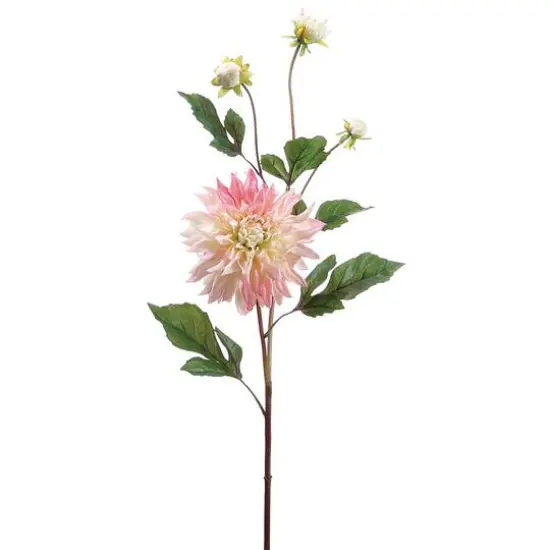Pink & Cream Garden Dahlia Spray {1}