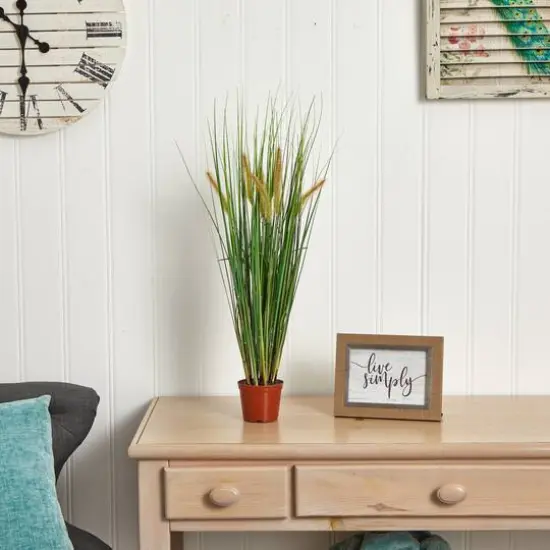 2.5ft. Potted Grass Plant {6}