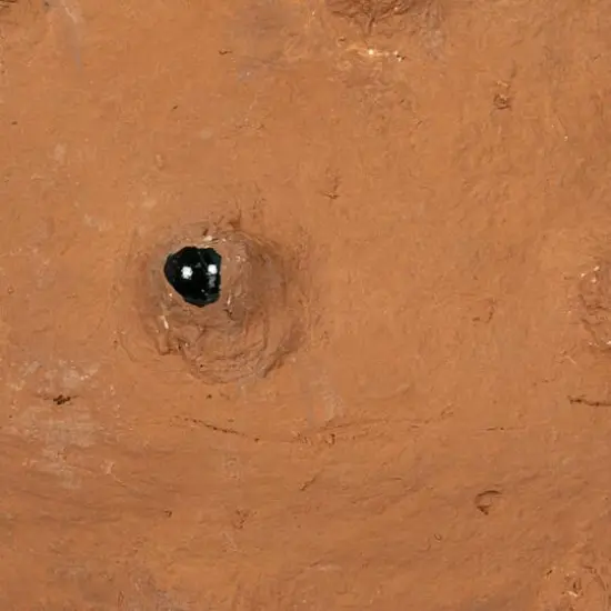 Hello Honey&reg; Decorative Paper M&acirc;ch&eacute; Canister with Glass Marble Accent Terra Cotta {7}