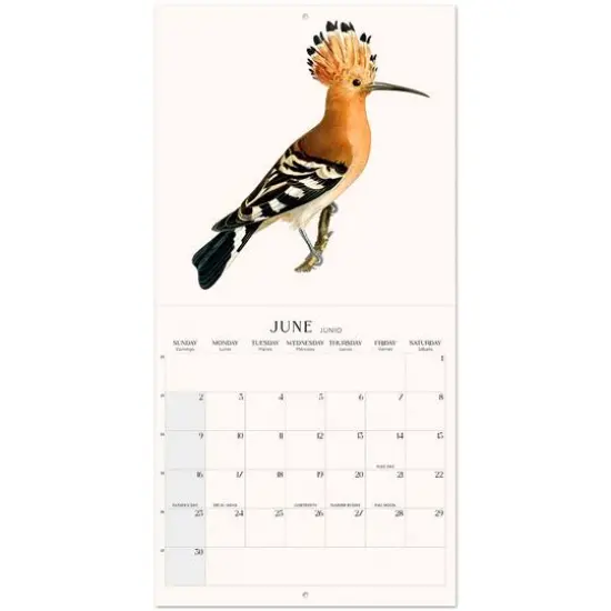 TF Publishing 2024 Vintage Birds Bilingual Wall Calendar {4}