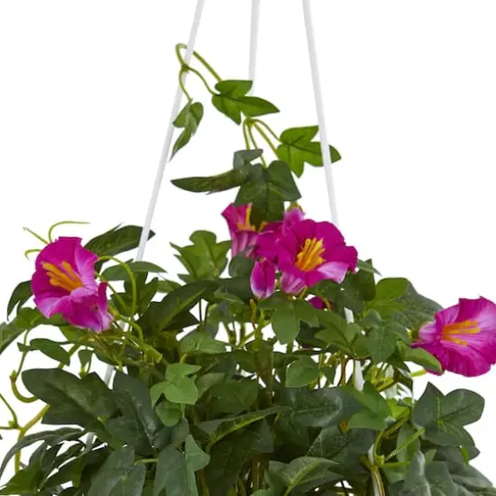 2.5ft. Purple Petunia Hanging Basket {4}