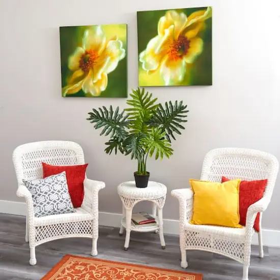 3ft. Potted Philodendron Plant {5}