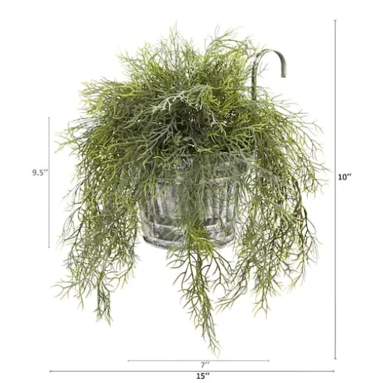10" Spanish Moss in Vintage Hanging Metal Pail {3}