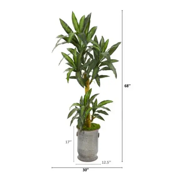 5.5ft. Yucca Plant in Copper Trimmed Metal Planter {3}