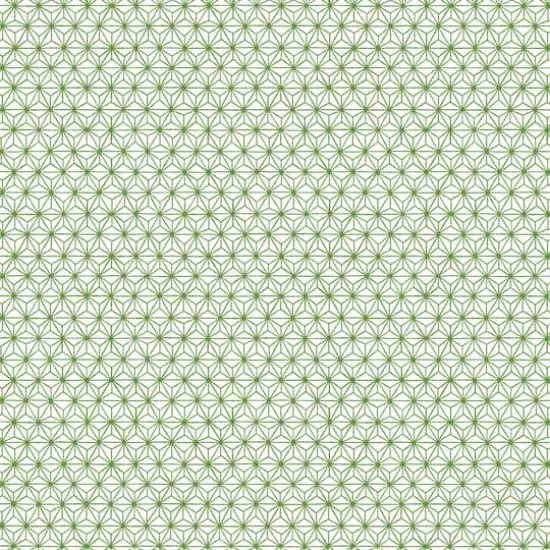 Cricut&reg;&nbsp;Rob & Bob Lattice Deluxe Paper {5}