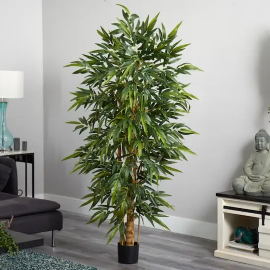 6ft. Potted Belly Bamboo Tree {5}