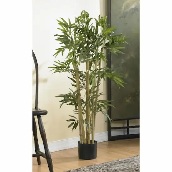3ft. Potted Bambusa Bamboo Tree {5}