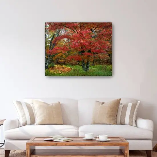 Lumaprints Catskill Maple Canvas Wall Art {3}