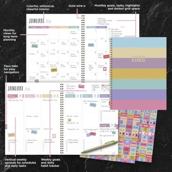 TF Publishing 2025-2026 Striped Down Large Weekly/Monthly Planner {8}