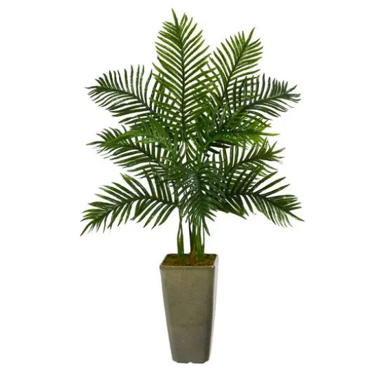 4ft. Areca Palm Tree in Green Planter {1}