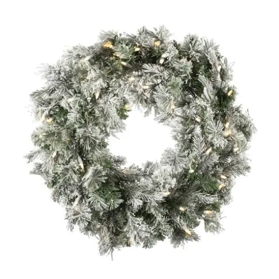 24" Pre-Lit Flocked Kiana Artificial Christmas Wreath, Warm White Dura-Lit&reg; LED Mini Lights {1}