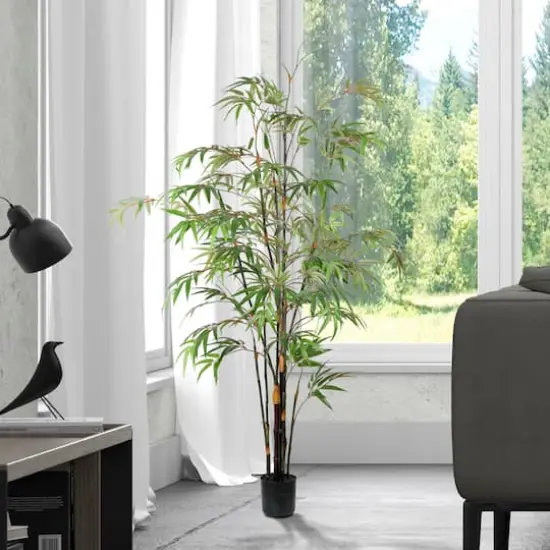 5ft. Potted Black Japanese Bamboo Tree {3}