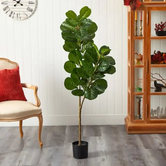5.5ft. Potted Fiddle Leaf Fig Tree {4}