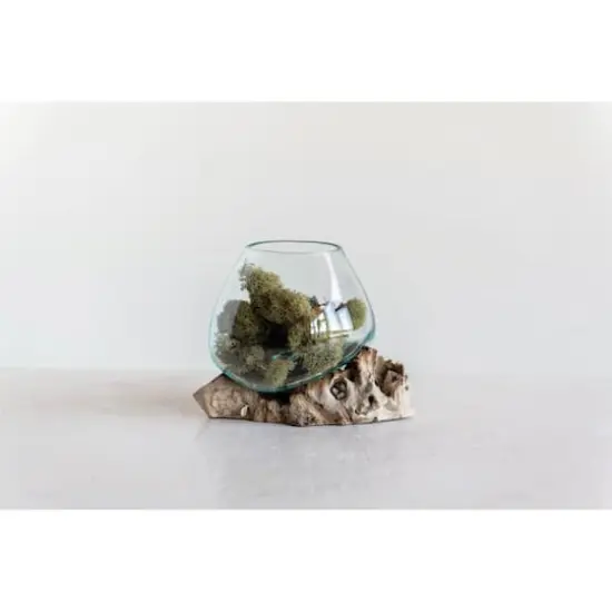 Hello Honey&reg; 6.5" Glass Planter/Vase on Natural Wood Base {4}