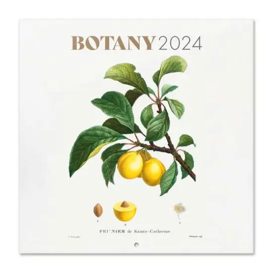 TF Publishing 2024 Botany Bilingual Wall Calendar {1}