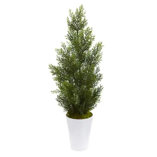 2.5ft. Mini Cedar Pine Tree in Decorative Planter {1}