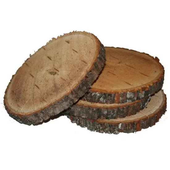 Wilson&reg; Enterprises 50 Pack Small Unsanded Basswood Ornament {3}