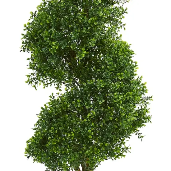 4ft. Potted Spiral Boxwood Tree {3}