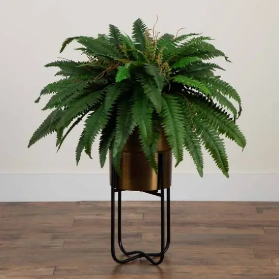3ft. Boston Fern in Brass Metal Planter with Stand {4}