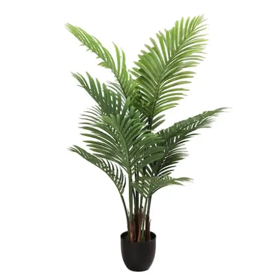 4ft. Areca Palm in Black Planter {1}