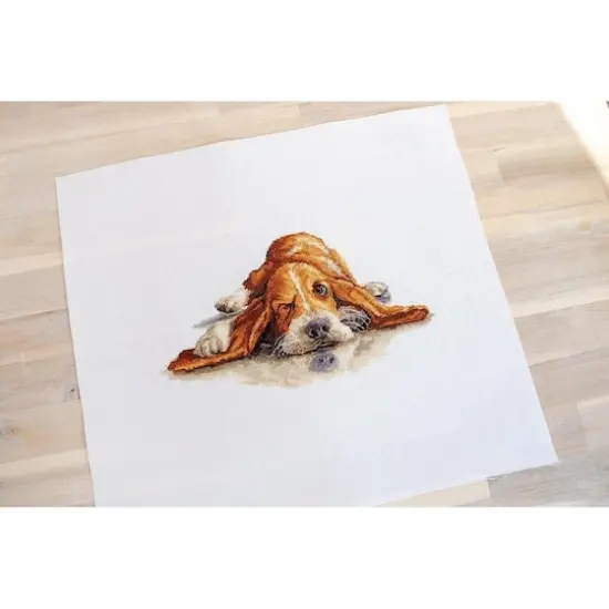 Luca-s Basset Counted Cross Stitch Kit {4}