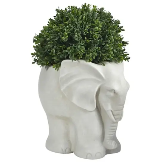 16" Boxwood Topiary Plant in Elephant Shaped Planter {4}