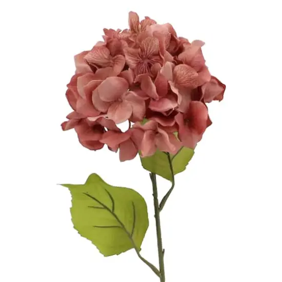Blush Hydrangea Stem by Ashland&reg; {3}