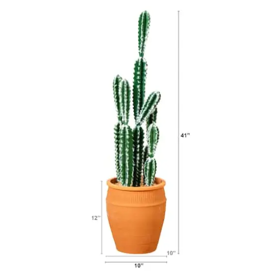 3ft. Cactus in Terracotta Planter {5}