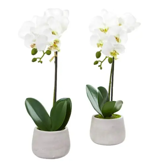 Phalaenopsis Orchid Artificial Arrangement (Set of 2) {1}