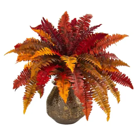 20" Autumn Boston Fern Plant in Decorative Planter {1}