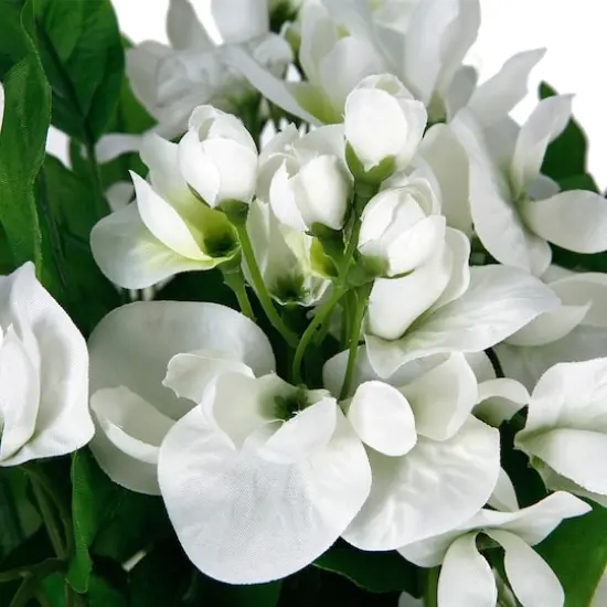 17" White Wisteria Bush by Ashland&reg; {4}