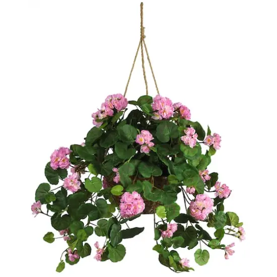 24" Pink Geranium in Hanging Basket {1}