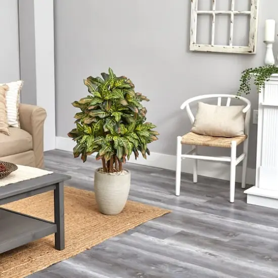 3.5ft. Croton in Sand Planter {4}