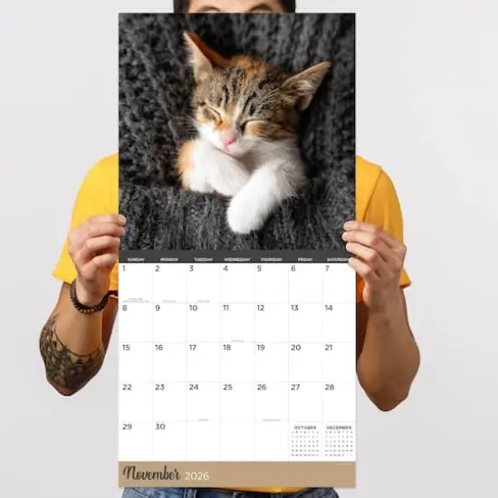 2026 Cat Dreams Wall Calendar {5}