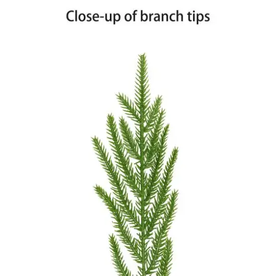 9ft. Christmas Garland {6}