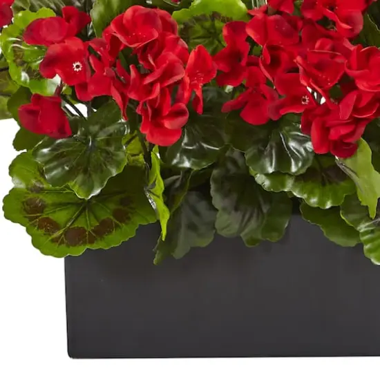 13" Red Geranium in Rectangular Planter {4}