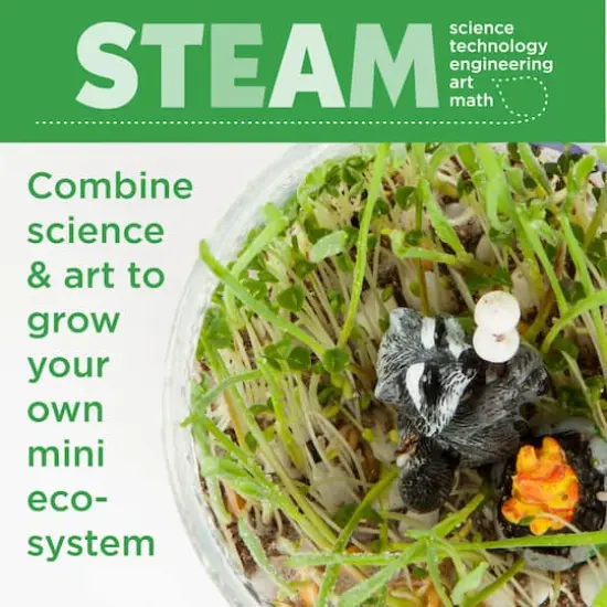 Creativity for Kids&reg; Grow N' Glow Terrarium {5}