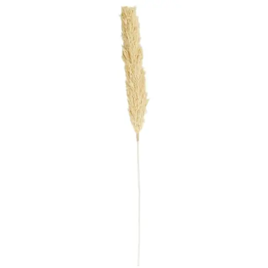 Brown Dried Wheat Grass Stem {1}
